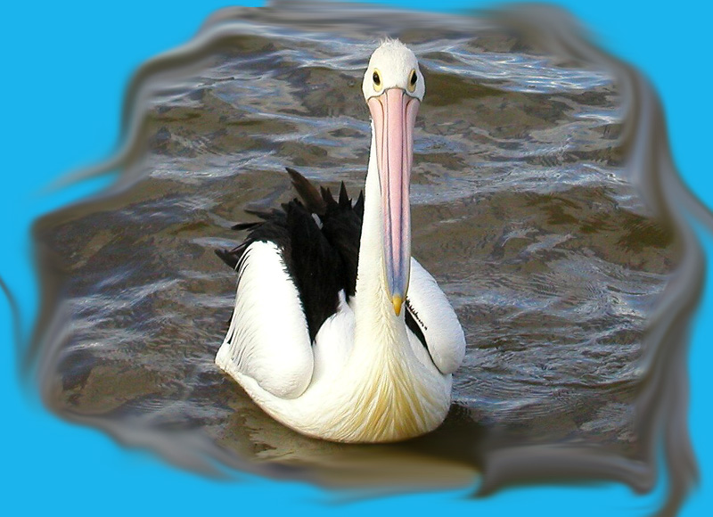 Floating.jpg