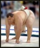 Sumo