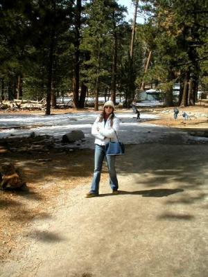 Pict0006A.JPG
