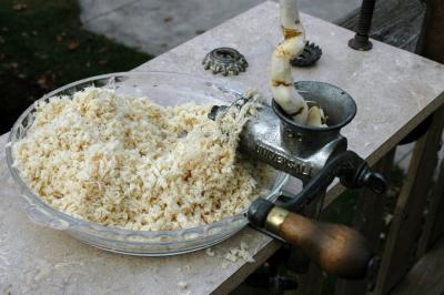 Grinding horseradish