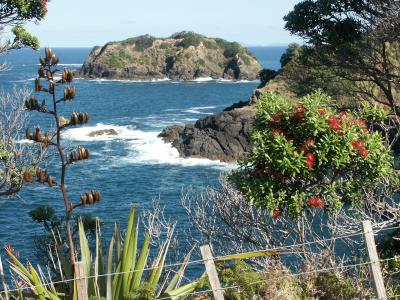 Tutukaka harbour view