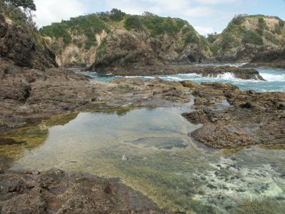 Matapouri rockpool