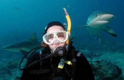 u22/kiml/medium/15574268.Kimshark2100.jpg