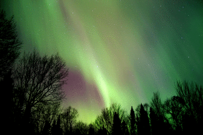 lights12.gif