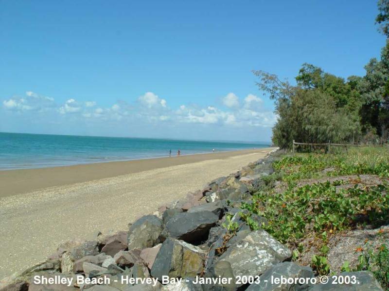 shelley beach