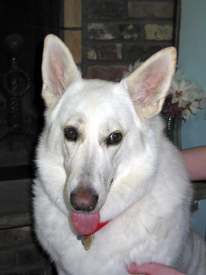 Gretel_0707.jpg