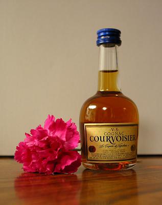 u22/littledog22/medium/13457394.Cognac_2053.jpg