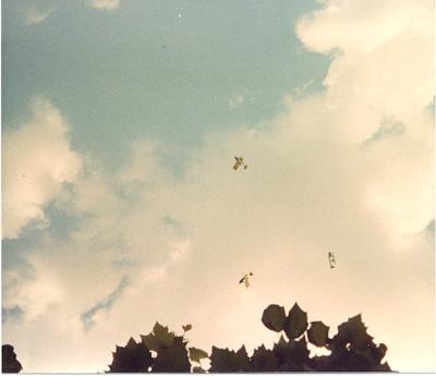 Disney World 1985 and 1987