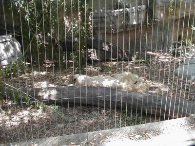 O0042906.JPG