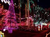 Osborne Family Christmas Lights 12/2002