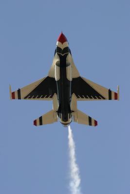 IMG_7367.JPG