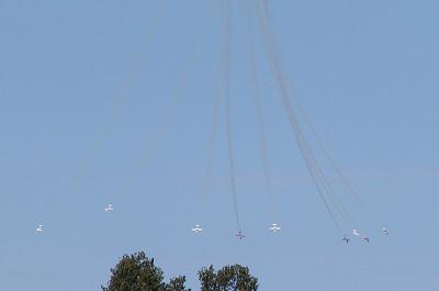 Snowbirds17.jpg