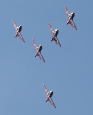 Snowbirds32.jpg