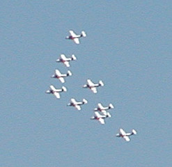 Snowbirds16.jpg