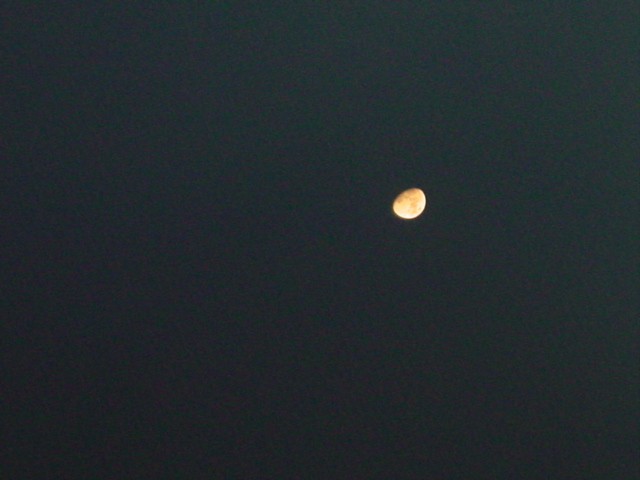 lonely moon