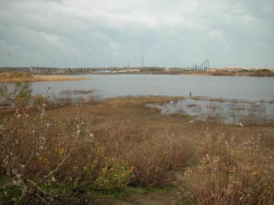 DSCN0001.JPG