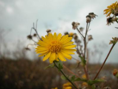 DSCN0008.JPG