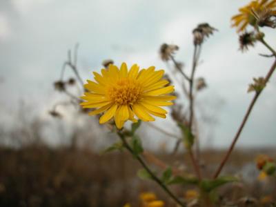 DSCN0009.JPG