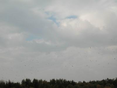 DSCN0019.JPG