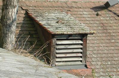 DSCN6590.JPG