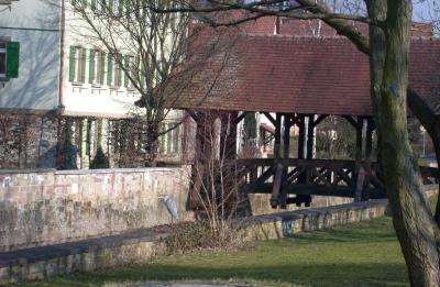 DSCN8794.JPG