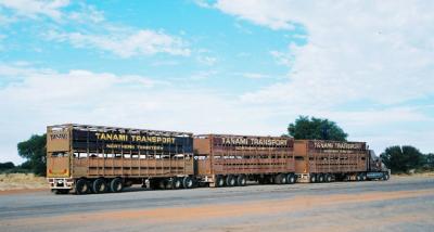 Road train 2