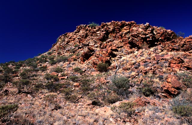 Near Kings Canyon -  Outback Australia