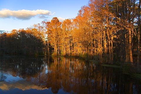 Greenfield Lake at Sunset2