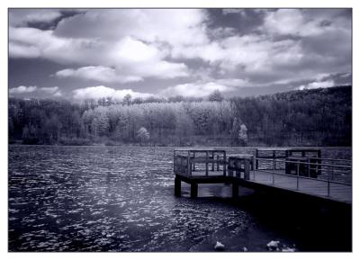 IR Dock on the Lake