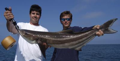 dan and harold with 19lb cobia