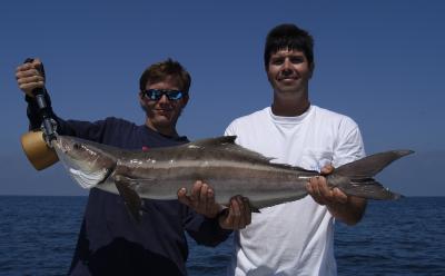 dan and harold with 17lb cobia