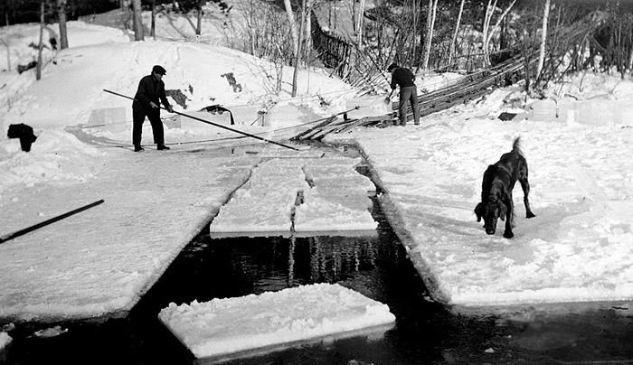 Old photo,    Cutting ice.