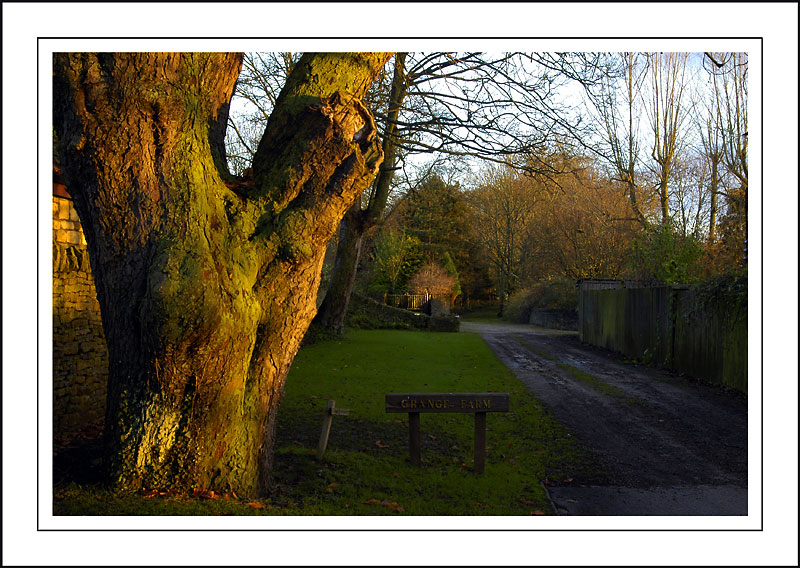 Early morning light, Lower Slaughterv