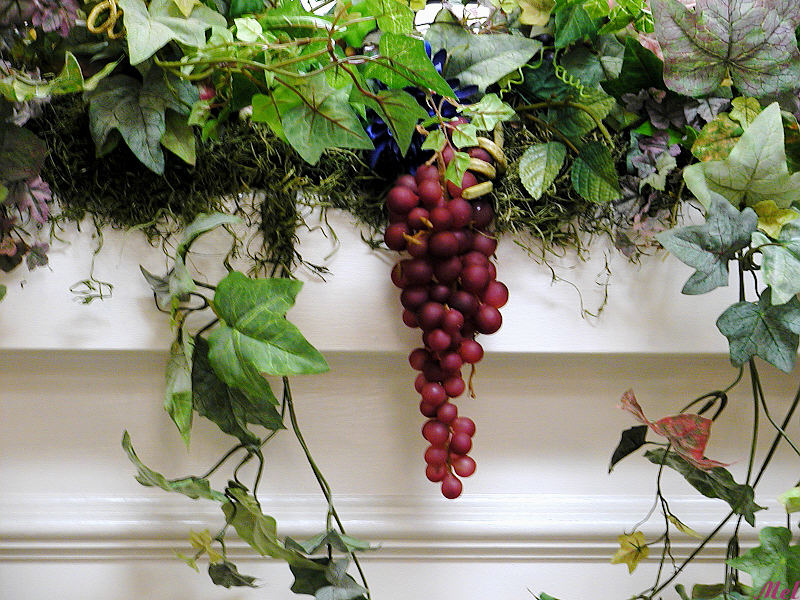 Grapes on a vine.jpg(426)
