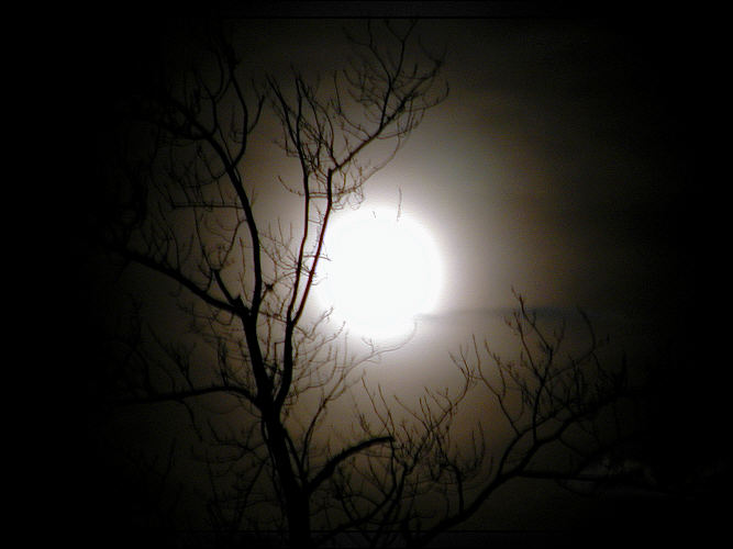 Slightly abstract moon and tree.jpg(628)