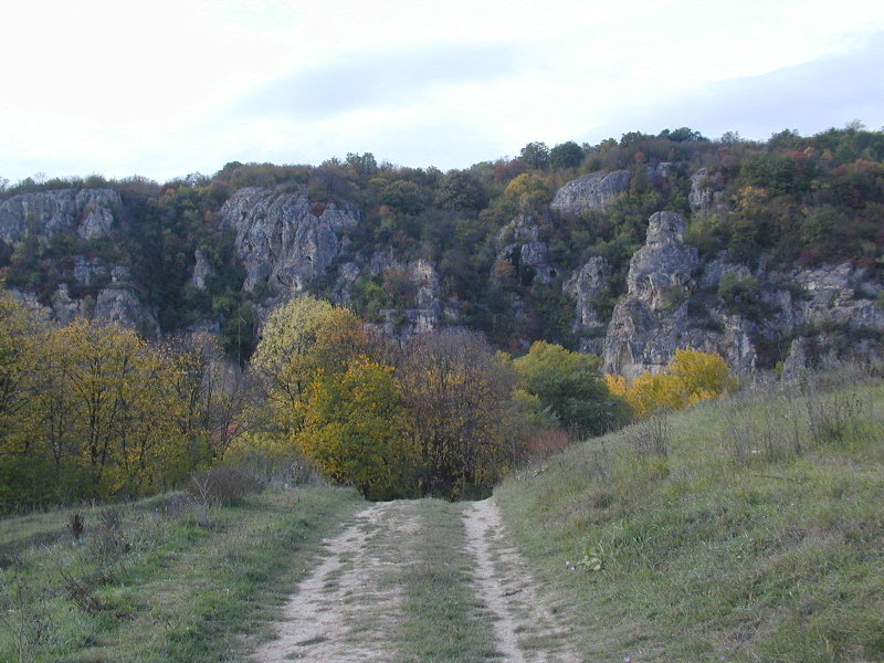 PA190955.JPG