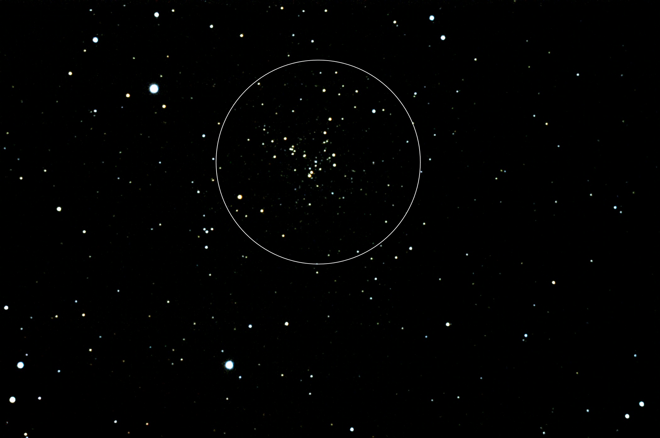 NGC 6819 - Foxhead Cluster