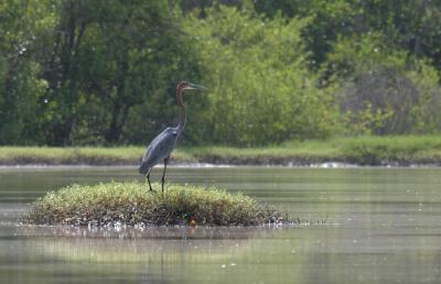 u22/okbird/medium/36809184.Img_2763.jpgkomp9.jpg