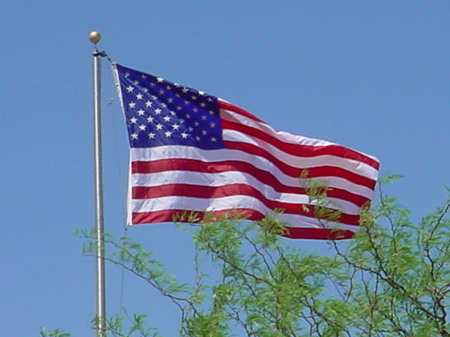 the American flag <br> and Arizona green brush