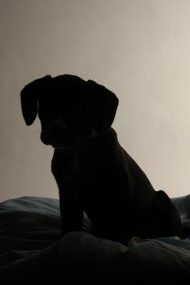 Lucky - 010203