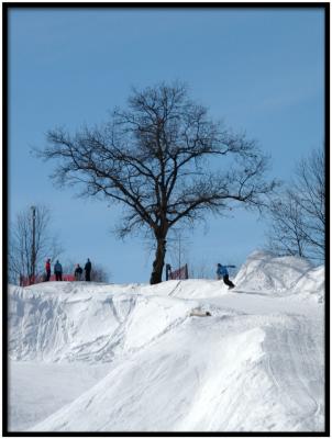 tree hill DSC_7729.jpg