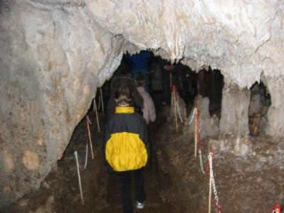 Grotta del romito - Valle del Lao