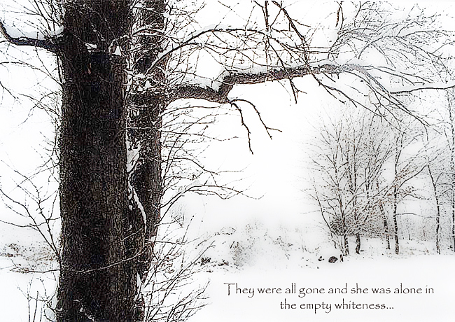Snow Tree Illustration