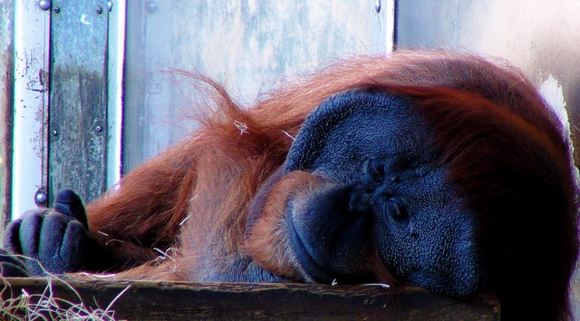 DO  NOT  DISTURB.JPG