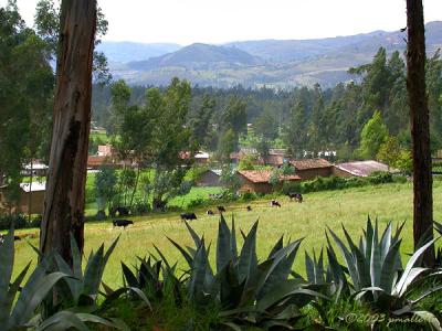 Baos del Inca Countryside