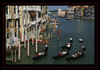 IMG_4205.jpg