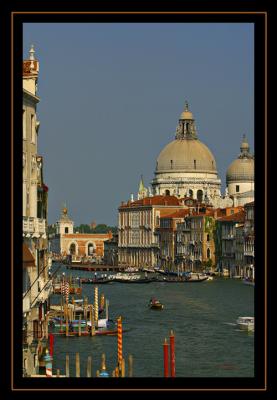 IMG_4217.jpg
