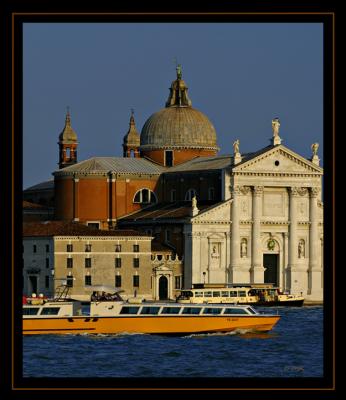 IMG_4264.jpg