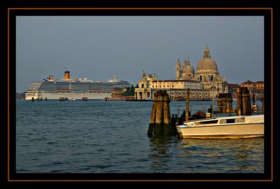 IMG_4330.jpg