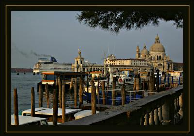 IMG_4340.jpg